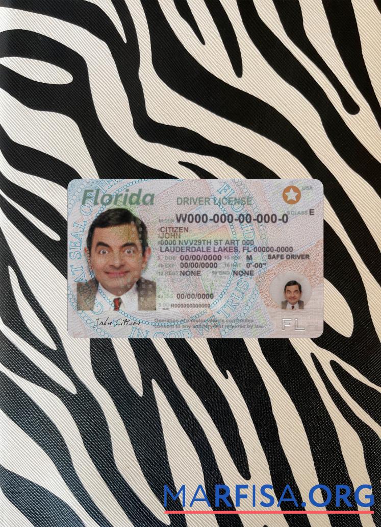 Printable USA Florida driving license 2018 present photolook template